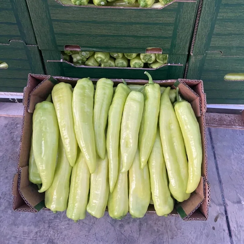 Speca të Gjatë Djegës, Gajbe 5 kg